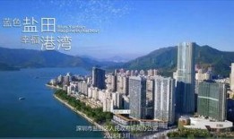 深圳盐田区爆料事件最新,事件真相及影响深度解析