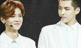 鹿晗和吴亦凡最新爆料,揭秘娱乐圈背后的真相与争议！